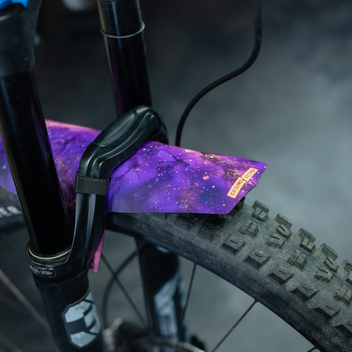 Euphoria Long Fender