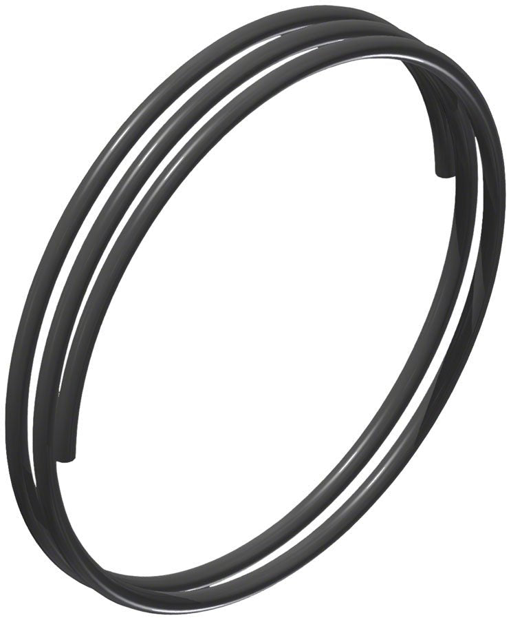 DT Swiss Ratchet DEG Spring - The Lost Co. - DT Swiss - HXDXXX00N6775S - 7613052405438 -