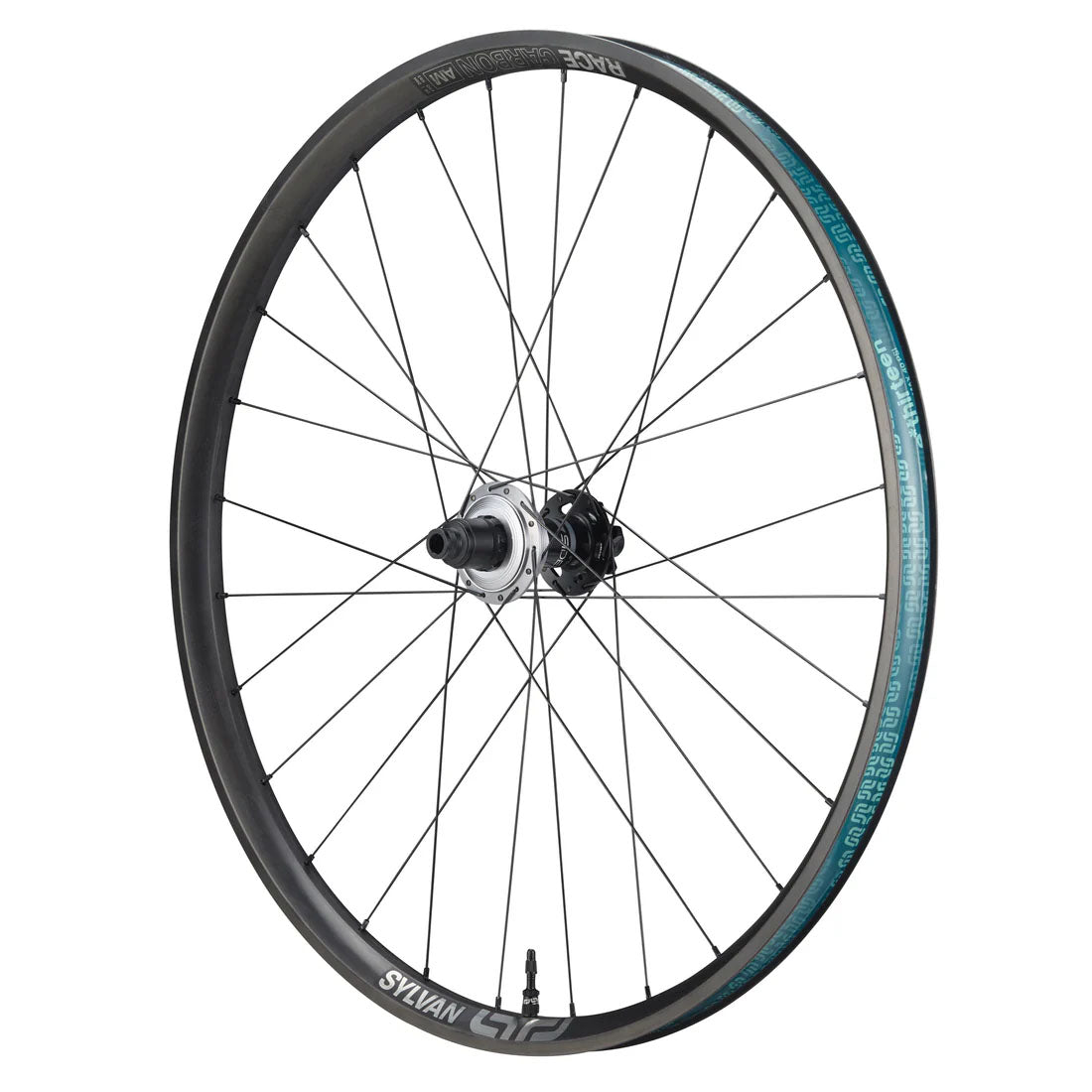 E*thirteen Sylvan Sidekick Race - 12x148 - XD - 29" - Carbon - The Lost Co. - E*thirteen - WH5SKA-301 - 4711280344925 -