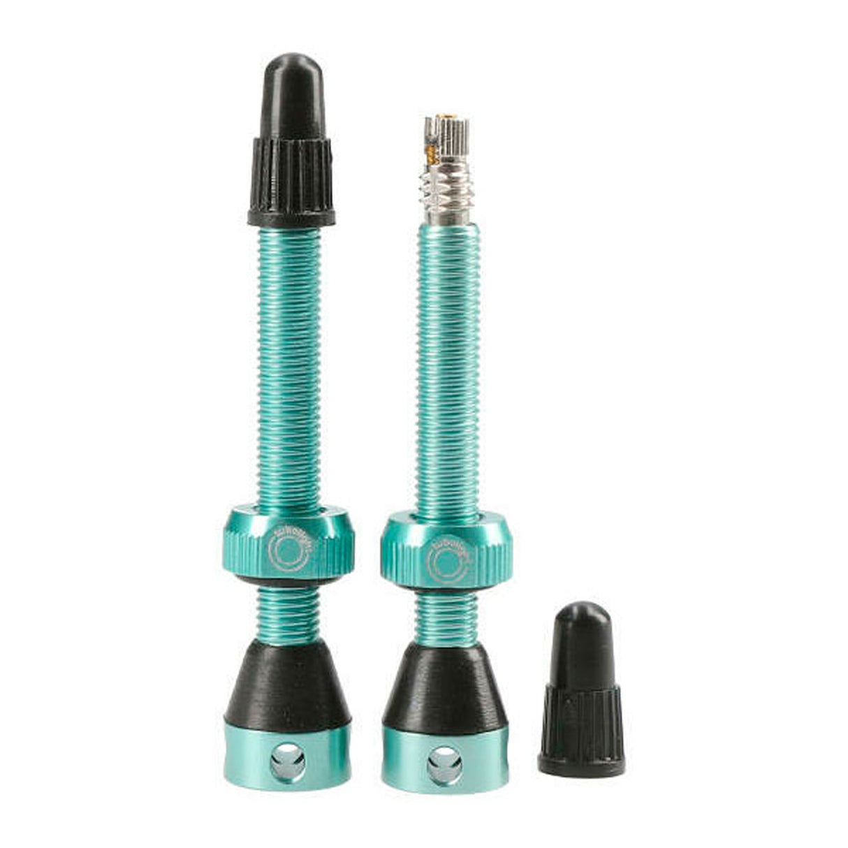 Tubolight Air Valve - 50mm - Turquoise - Pair - The Lost Co. - Tubolight - VVTRQ - 723803996669 -