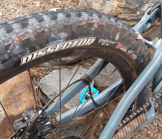 Maxxis Dissector | Rider Review