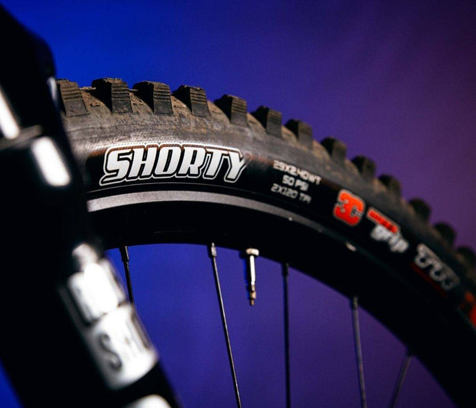 Tis’ The Season, Shorty Season | Maxxis Shorty Review