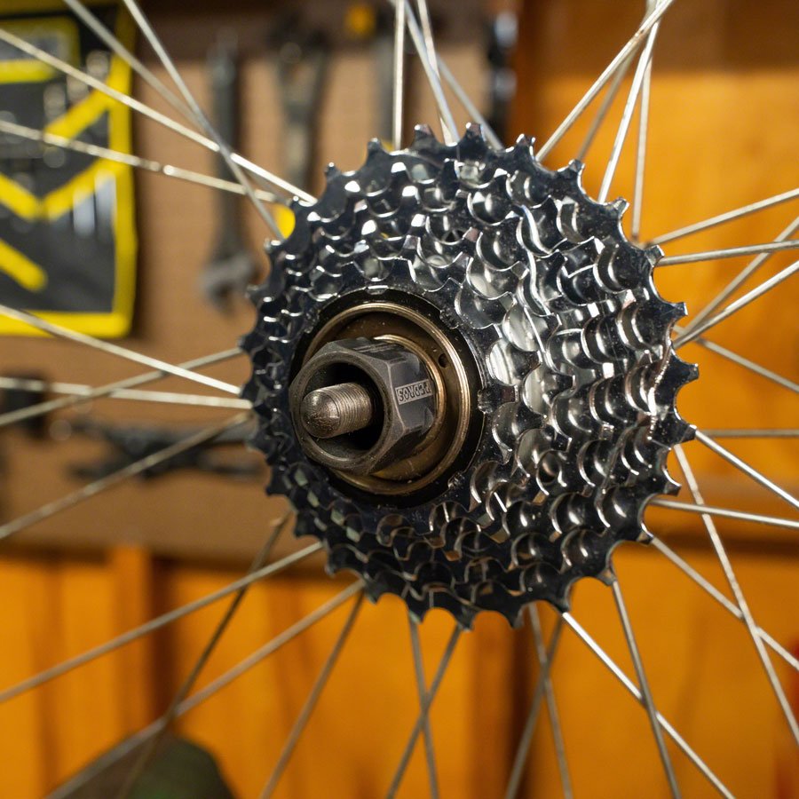 Pedros Freewheel Socket - Multi-Speed 12-Spline x 23mm - The Lost Co. - Pedros - TL0307 - 790983297664 - -